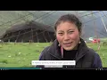 Lagu Traduction d'un documentaire sur les éleveurs tibétains