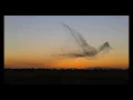 Download Lagu Ben Howard - Bird on a Wing + Interlude