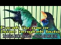 Download Lagu Masteran CUCAK IJO Tembakan TENGKEK BUTO sambung KAPAS TEMBAK paling ampuh