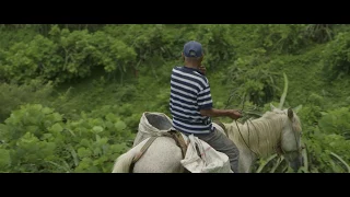 experience living with volcanic gases masaya nicaragua spanish with english subtitles 
