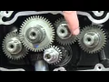 How to install and time Sportster Camshafts CLOSE UP VIEW Same as Harley Davidson Sporty Ironhead