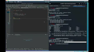 ARP Scanning Using Scapy with Python