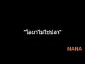 โลมาไม่ใช่ปลา | NANA