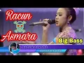 Racun Asmara - OM ADELLA •terbaru2019 •bigBASS - Arneta Julia