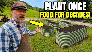 Plant This Once & Eat for Decades