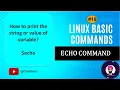 echo command in linux Hindi