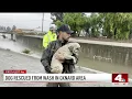 Dog rescued from wash near Oxnard