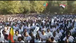 Galaana Qeeyroo Harargee Bahaa Gooticha RIB Ti Makaman 