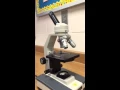 Parts Functions of Microscope