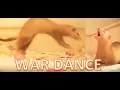 Ferret War Dance Compilation