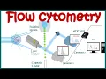 Flow cytometry basic principles What the use of flow cytometry Cell sorting by FACS