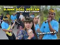 Lagu BAJANG UGAL UGALAN DAN SEHER MAIQ ANGEN REGGAE SASAK ALBA 05 TERBARU VOC.GAZALI