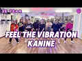 Download Lagu FEEL THE VIBRATION  ➖ KANINE / ZUMBA / DANCE WORKOUT / ZE TEAM 🖤💜 / BALIKPAPAN
