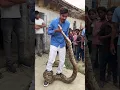 Download Lagu 😱😱😭😭Amit Bhai 😭😭😭😱😱Amit Bhai crazy xyz Amit Bhai ka video #subscribe #trending #shorts#amitbhai