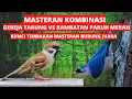 Download Lagu masteran kombinasi gereja tarung vs rambatan paruh merah | kunci materi tembakan burung juara