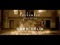 Download Lagu Pretender / Official髭男dism [Covered by GARNiDELiA]
