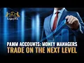 Download Lagu 🆕 PAMM Accounts: Money Managers trade on the next leveI 📈