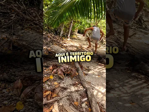 Andando no território dos Siris em Seychelles