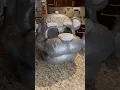 Building Freddy Fazbear Pt 8