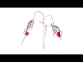 Otto Knows - Next To Me (Matisse and Sadko Remix)