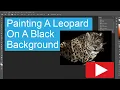 Painting A Leopard On A Black Background