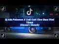 Download Lagu Dj Ada Pokemon X Cuki Cuki Slow Bass Viral Tiktok!!! (Slowed + Reverb)