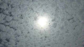 Beautiful Altocumulus Clouds Over the Nature Center