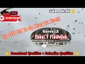 Download Lagu SP AKAU 22 BIRAHI STEREO SP PJW OLD - SUARA PANGGIL WALET BIRAHI ANAKAN PALING RESPON