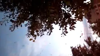 راغب العلامة تبكي صيور        دندنها