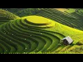 Download Lagu Relaxing Music: Semangat Pagi Hari, Suasana Desa dan Nyaman