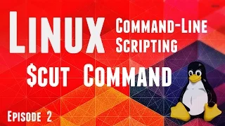 Online Course - Linux CLI Scripting