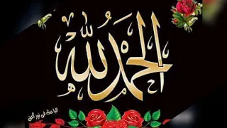 مهرجان براويزه غناء شحته كاريكا 