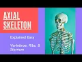 Axial Skeleton Anatomy Vertebrae Spine Ribs and Sternum