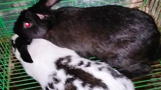 الصبر مفاتيح الفرج وعلى قد ما نتعب ربنا بيرضينا 