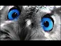 Mr. Know It All – Teddy Swims (Lumie Acoustic Version) Girl POV