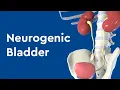 Download Lagu Neurogenic Bladder