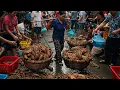 Download Lagu Delicious Lobster Seafood Local Dishes In Southeast Asia Street Foods Collection 2025