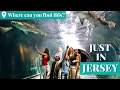 Come face to face with astounding animals at this world-class N J aquarium