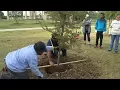 UPS Provides Grant Volunteers to Plant Trees
