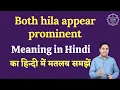 Both hila appear prominent meaning in Hindi Both hila appear prominent ka matlab English to hindi