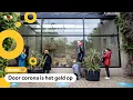 Download Lagu Leeuwen uit dierentuin Artis moeten weg