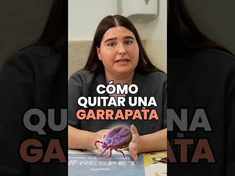 🔍🪳Cómo quitar una garrapata a un perro correctamente y rápido (según veterinarios)