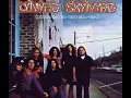 Lynyrd Skynyrd - Simple Man   (1973)