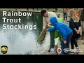 Rainbow Trout Stockings Coming to a Waterway Near You
