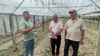 A ia vlen të merresh me bujqësi? | 🎙️Zëri i Fermës me Prof. Ilir Tomorri