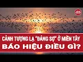 Lagu Cảnh tượng lạ “đáng sợ” ở Cần Thơ, báo hiệu điều gì? | Vấn đề hôm nay