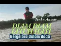 Lagu DLLOYD - DIAM DIAM JATUH HATI - ( COVER ) TEUKU ANWAR 
