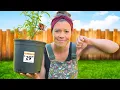 Potted Fruit Trees Are a Ripoff