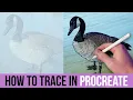 Master Procreate Tracing From Photo to Digital Art Beginner Tutorial