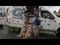 Pet lovers unite at Paws in the Park celebration in Scranton